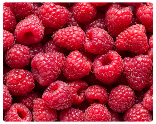 foto serra sul (12).png