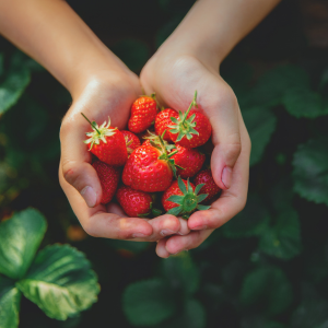 foto serra sul (300 x 300 px).png