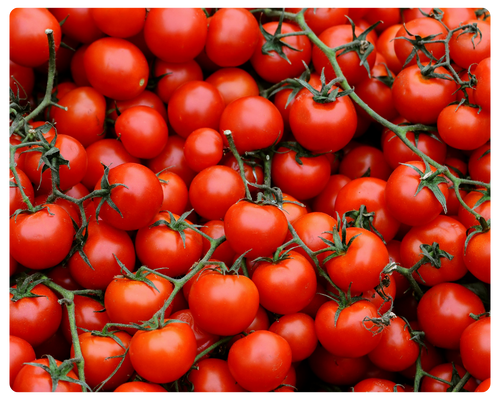 foto serra sul (16).png