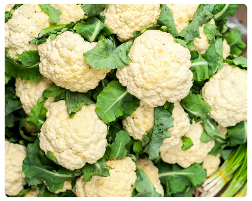 foto serra sul (17).png