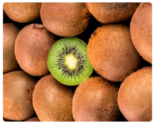 foto serra sul (3).png