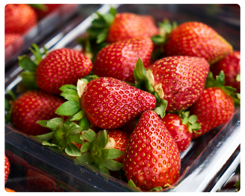 foto serra sul (2).png