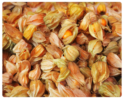 foto serra sul (11).png