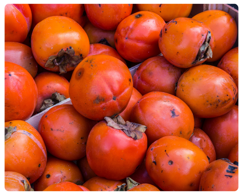 foto serra sul (13).png