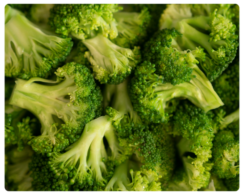 foto serra sul (15).png