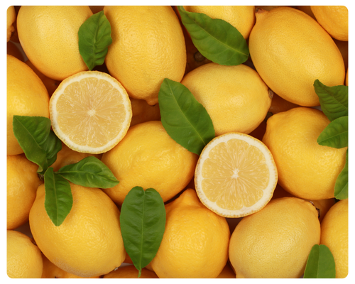 foto serra sul (4).png