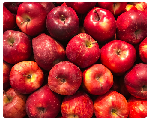 foto serra sul (8).png