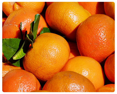 foto serra sul (7).png